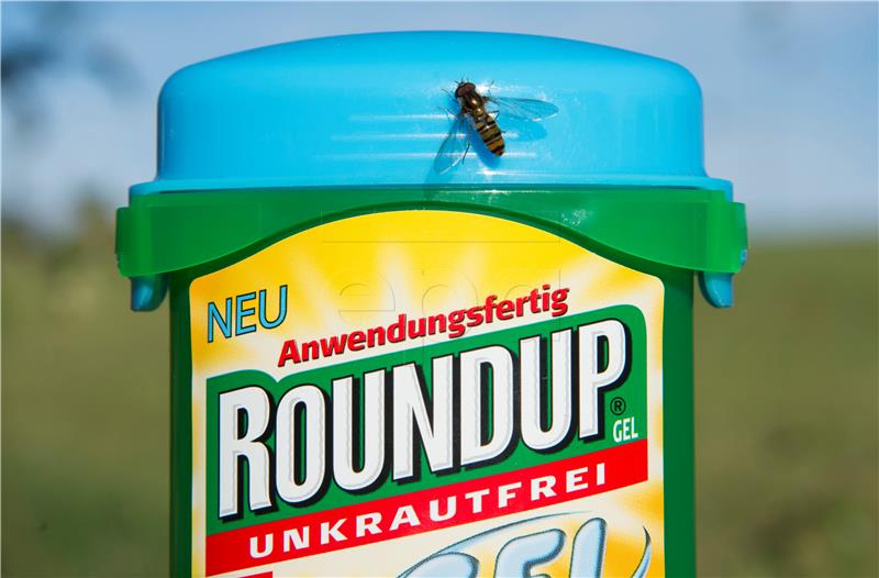 (FILE) USA MONSANTO BAYER TRIAL ROUNDUP