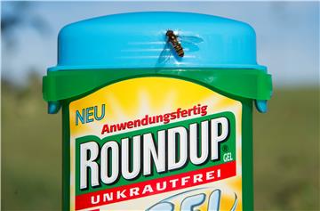 (FILE) USA MONSANTO BAYER TRIAL ROUNDUP