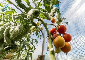 BELGIUM AGRICULTURE