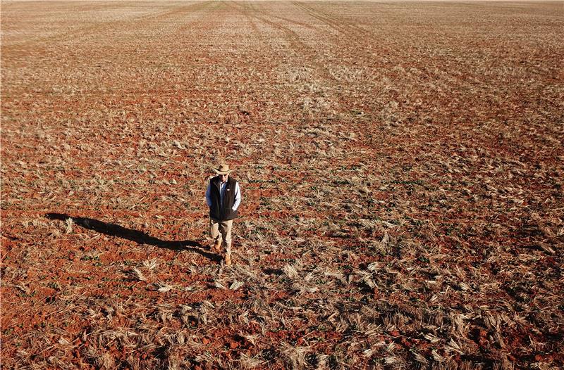 AUSTRALIA DROUGHT NEW SOUTH WALES