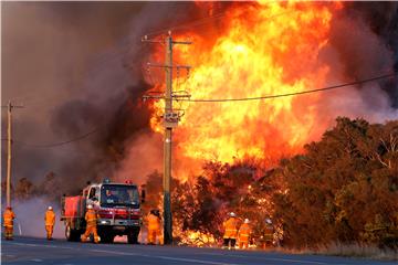 AUSTRALIA NSW BUSHFIRES SALT ASH