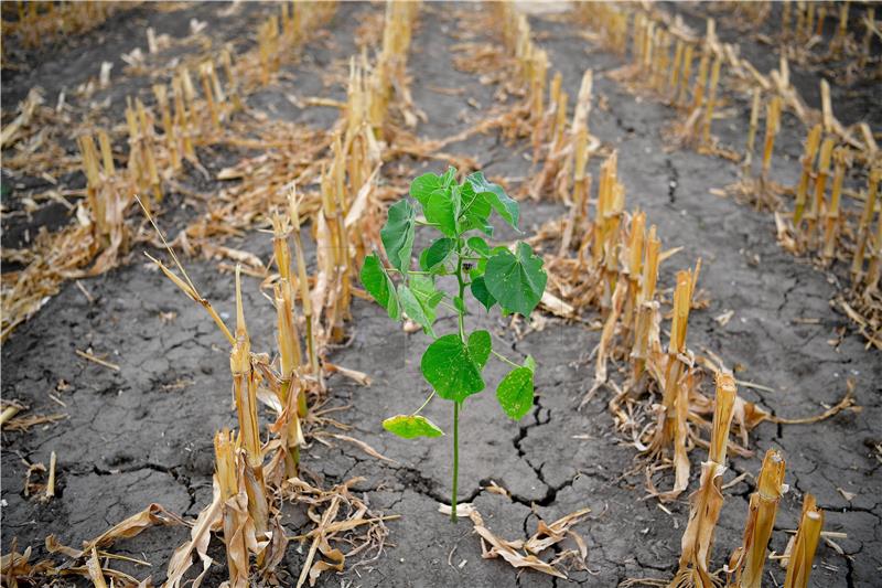 HUNGARY WEATHER DROUGHT