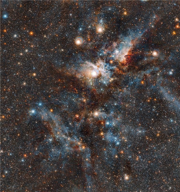 SPACE CARINA NEBULA