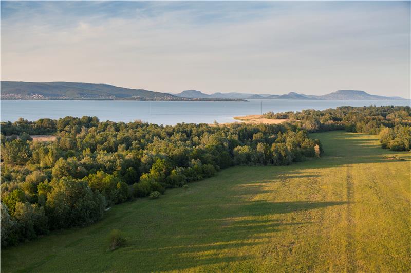 Sunce, more i nedostatak radne snage na Balatonu