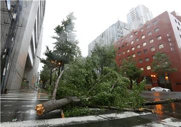 JAPAN TYPHOON JEBI