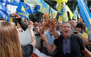 UKRAINE RALLY ELECTIONS LAW