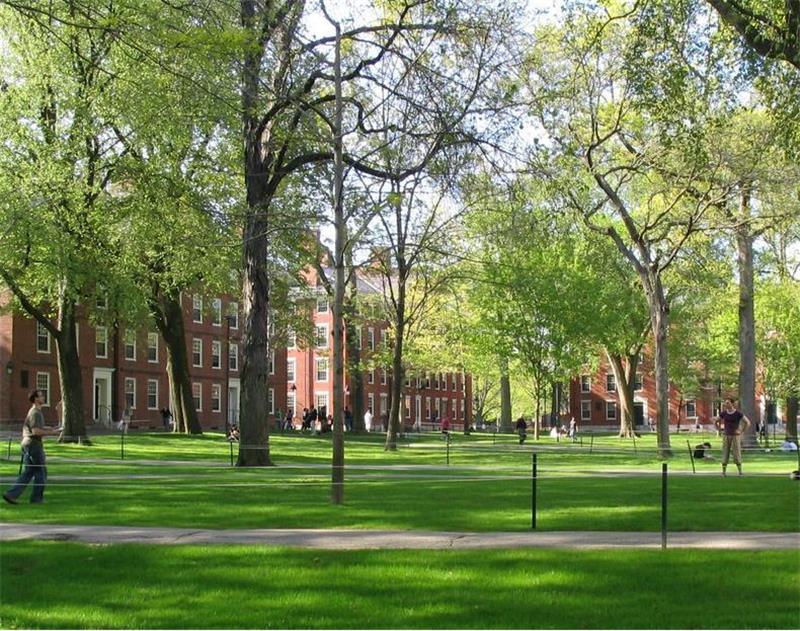 Harvard