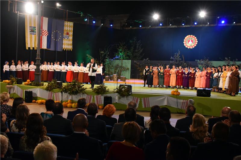 53rd edition of Vinkovci Autumn Festival starts