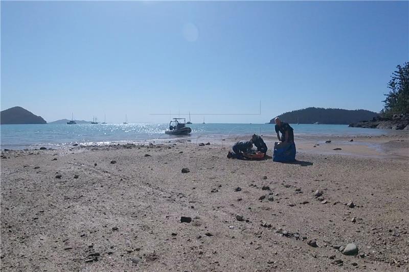 AUSTRALIA SHARK ATTACK