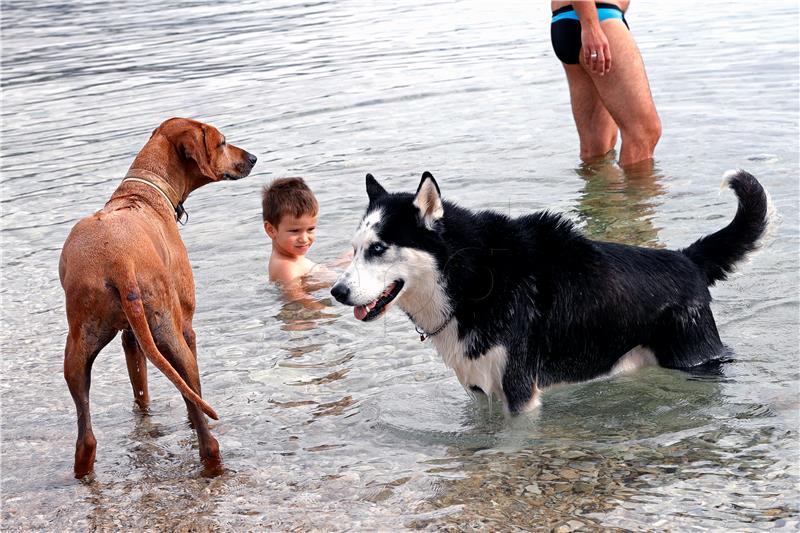 CROATIA TOURISM PET FRIENDLY TOWN CRIKVENICA