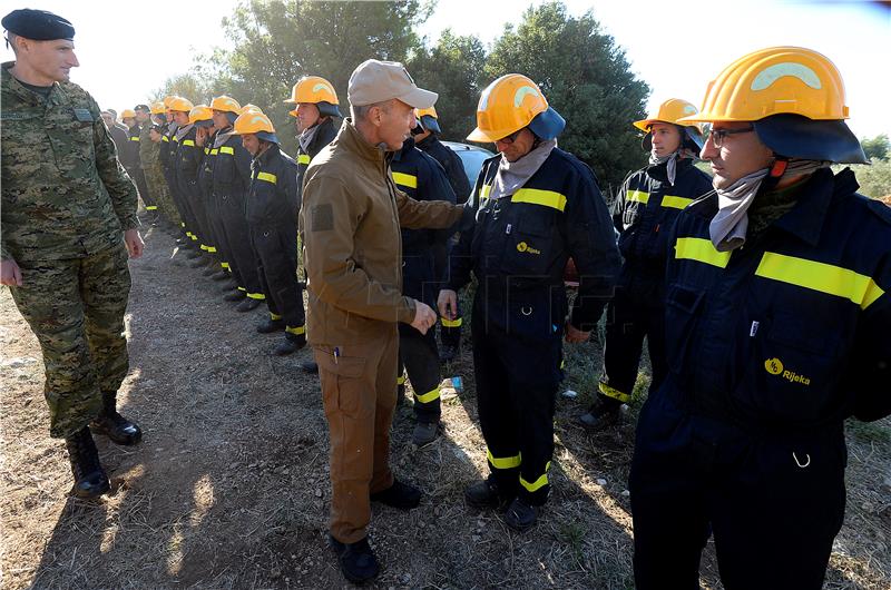 Government satisfied with wildfire response