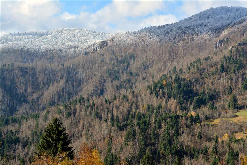 Zaštitnici životinja pozvali Čabar da umjesto ubijanja, puha pretvori u svoj prepoznatljivi znak