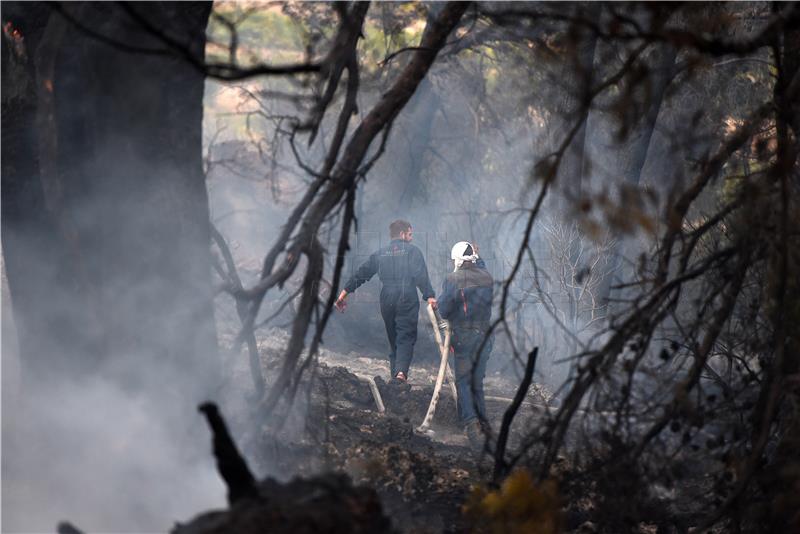 Bura rasplamsala požar kod Postupa, brzo stavljen pod nadzor