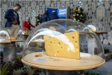 SWITZERLAND SWISS CHEESE AWARD