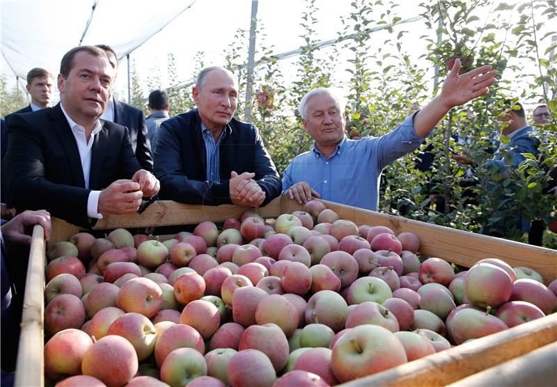 RUSSIA PUTIN AGRICULTURE