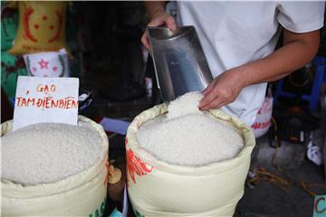 VIETNAM EXPORTS RICE