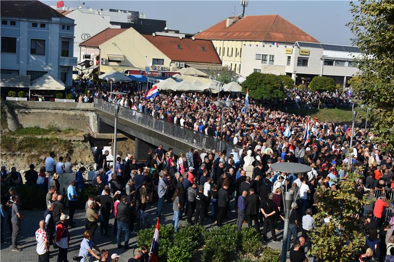 Police say around 9,000 people attended Vukovar protest