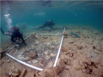 Zadarski arheolozi u Pašmanskom kanalu pronašli koštice maslina stare 3500 godina