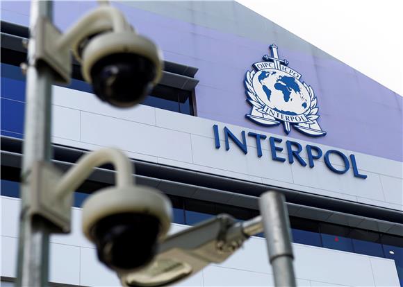 Interpol zaplijenio 500 tona ilegalnih lijekova 