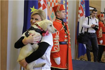 Ured predsjednice: Dan otvorenih vrata posvećen udomljavanju životinja