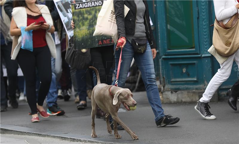 Prosvjed za zabranu lova