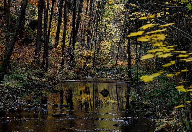 GERMANY WEATHER AUTUMN