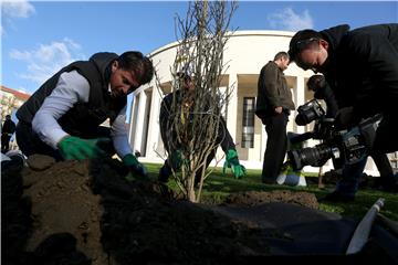 Članovi Živog zida posadili dvije magnolije na Trgu žrtava fašizma