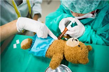 SWITZERLAND TEDDY BEAR HOSPITAL