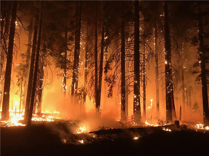 USA NORTHERN CALIFORNIA WILDFIRE