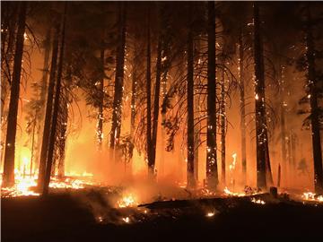 USA NORTHERN CALIFORNIA WILDFIRE