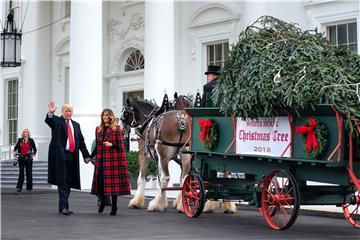 USA WHITE HOUSE CHRISTMAS TREE TRUMP