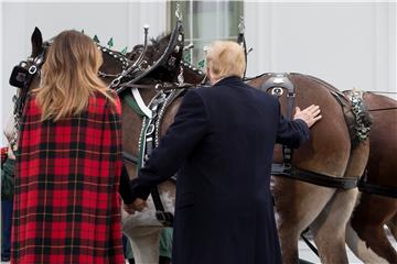 USA WHITE HOUSE CHRISTMAS TREE TRUMP