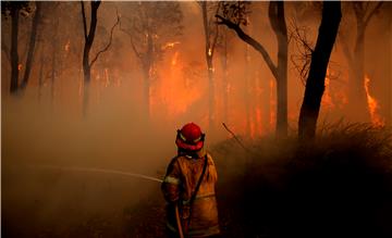 AUSTRALIA BUSH FIRES