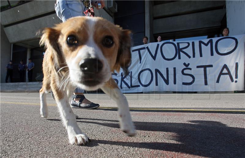 Mreža za zaštitu životinja: Ljubav se ne kupuje!