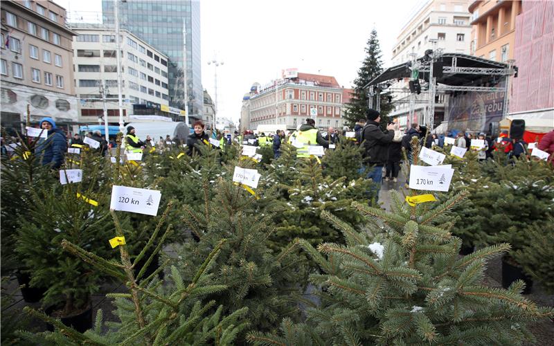 Humanitarna prodaja božićnih drvaca u organizaciji Caritasa