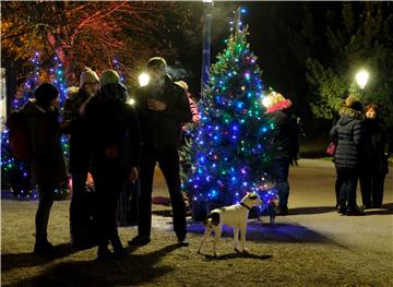 Advent u Maksimiru