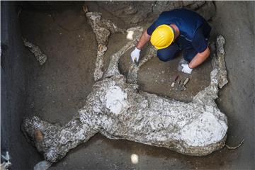 Generalov konj? Još jedno spektakularno otkriće u Pompejima