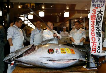 JAPAN NEW YEAR TUNA RECORD