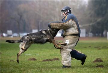 Interior ministry buying dogs than can replace up to 30 police officers