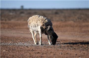 Australija: od vrućina se tope ceste  