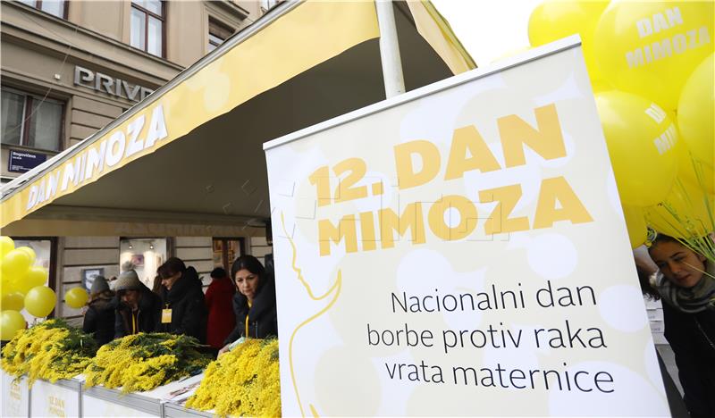 12. Dan mimoza i Nacionalni dan borbe protiv raka vrata maternice