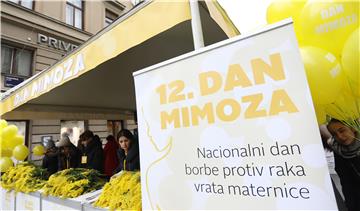 12. Dan mimoza i Nacionalni dan borbe protiv raka vrata maternice