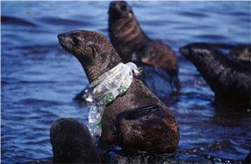 Animal Friends Croatia push for ban on free plastic bags