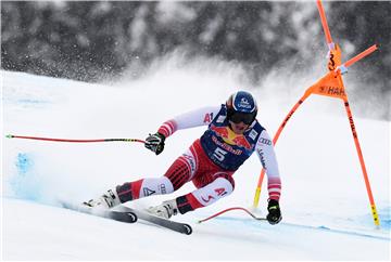 AUSTRIA ALPINE SKIING WORLD CUP