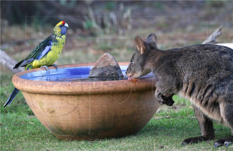 AUSTRALIA TASMANIA WEATHER HOTTEST ON RECORD