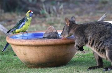 AUSTRALIA TASMANIA WEATHER HOTTEST ON RECORD