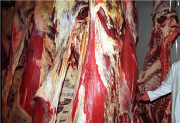 (FILE) POLAND BEEF MEAT SCANDAL