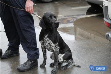 Četveronožni ''inspektor'' Duks pronašao 1,38 kilograma marihuane