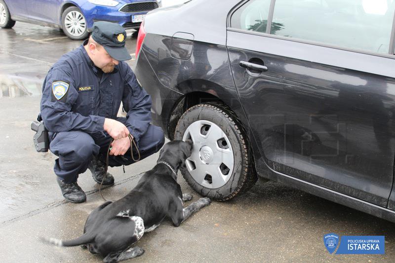 Četveronožni ''inspektor'' Duks pronašao 1,38 kilograma marihuane