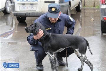 Četveronožni ''inspektor'' Duks pronašao 1,38 kilograma marihuane